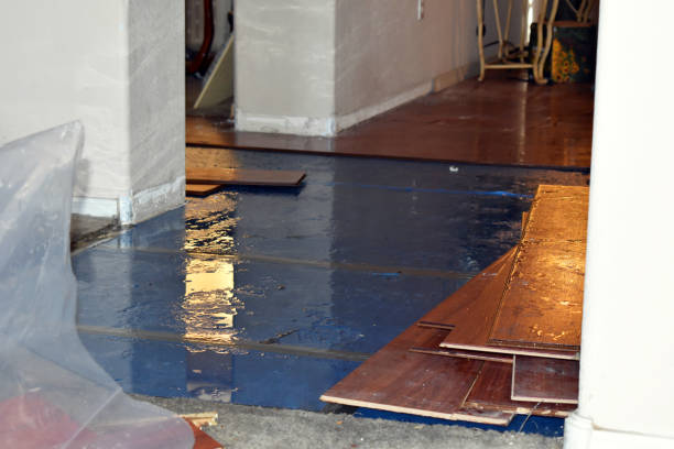 Professional Burst Pipe Cleanup technician working in Chester, OH